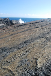 Fossils at the famous &#39;E&#39; Surface